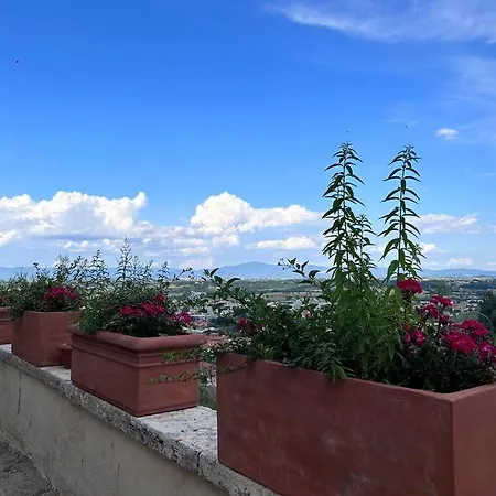 La Terrazza Di Ciro Pinsuti Apartment Sinalunga